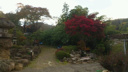 花見山公園　紅葉の様子